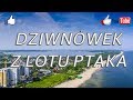 Dziwnów Zdjęcia Z Lotu Ptaka