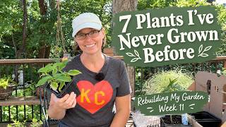 7 New Plants I’ve Never Grown Before! | Rebuilding My Garden Week 11