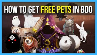 How To Get Free Pets In Black Desert Online - The Ultimate Guide