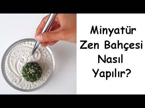 Video: Mini Zen Bağçası - Sukkulentlərlə Dinc Zen Bağının Dizaynı