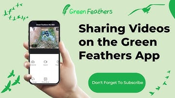 How To Share Videos Using The Green Feathers App