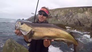 La Pêche sportive en Irlande - Entre Mer, lac et Rivière