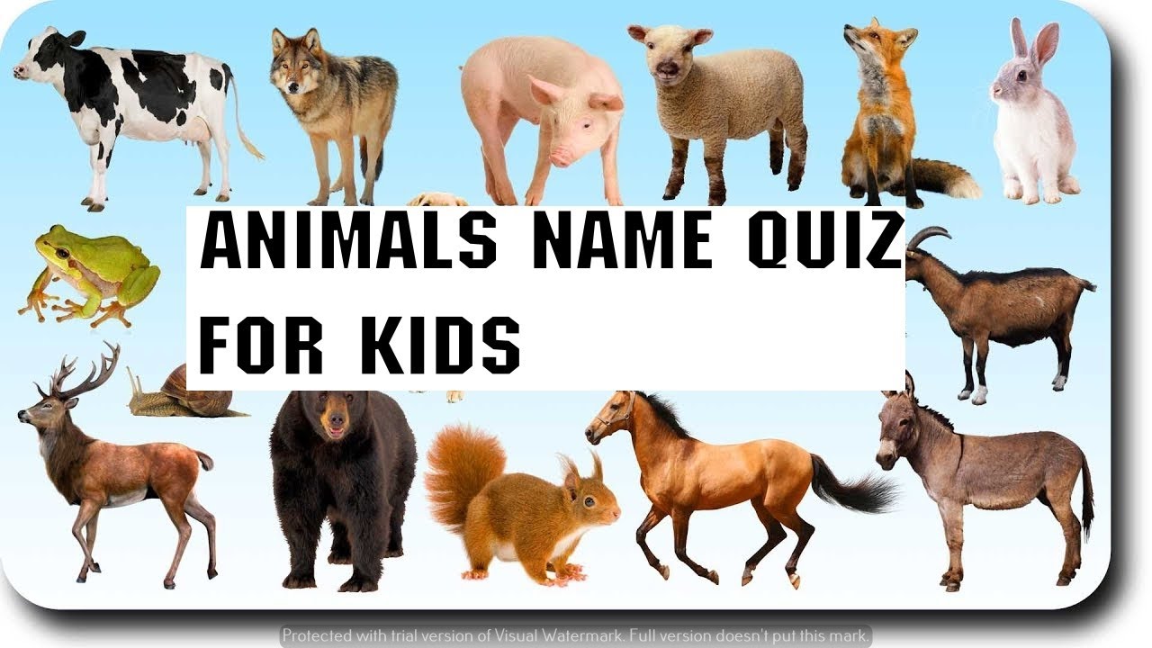 IDENTIFY ANIMALS NAMES (FOR KIDS & TODDLERS)LEARN WITH ISHANPUTHRA