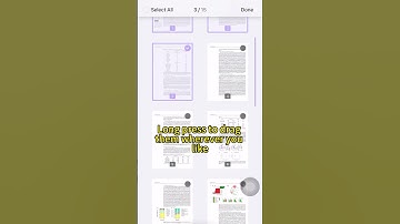 How to Rearrange PDF Pages on Your Phone?