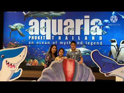 อควาเรียมภูเก็ตAquariaPhuke ร้านอาหารทะเล ศูนย์อาหารทะเลปลาเป็น อ่าวนาง กระบี่