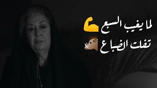 مسلسل الهيبة الرد - لما يغيب السبع💪تفلت الضباع 🐗 جبل شيخ الجبل(حالات وتس اب- مع اغنية حماسية