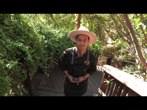 Inside the Intergalactic Culinary World of Chef Jerumel
