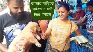 Recent Dog Puppy Price Update | Gallif Street Pet Market Kolkata | Dog Price | Galiff street kolkata