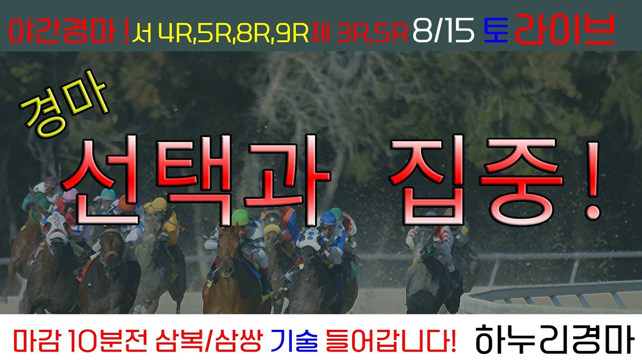 8/15(토) 야간경마는 하누리! 경마 선택과 집중! 이기는 경마! 관건은 임팩트!! 경주별 삼복/삼쌍 기술 들어갑니다!!