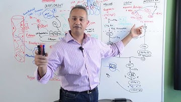 Immunology Lecture 17 Complement System