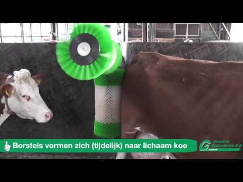 Miniatuur van productvideo