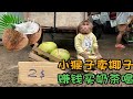 小猴子摘椰子 拿到菜市场卖 赚到钱去买奶茶喝 还认识了新朋友 小猴子摘椰子 拿到菜市场卖 赚到钱去买奶茶喝 还认识了新朋友