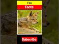 Amazing Fox Facts: Nature's Clever and Mysterious Trickster! #animalfacts #fox #viralvideo #short