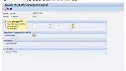 SAP FI Financial Accounting Customizing   Automatic Payments part №1
