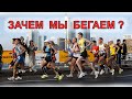 Зачем мы бегаем марафоны ?