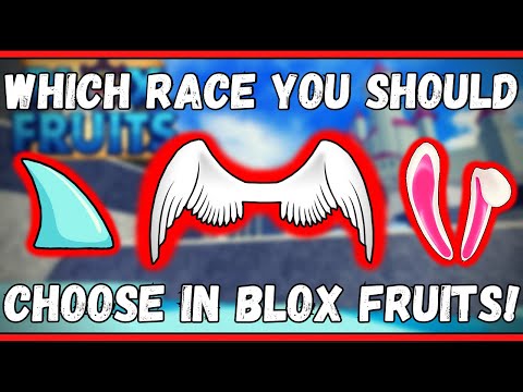 What per should I get with 2100 robux cause I was also gonna reroll my race  : r/bloxfruits