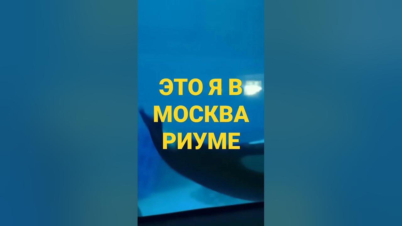 Касатка🤩😎 - YouTube