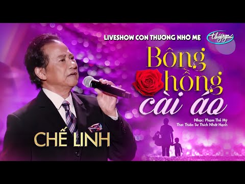 Video Chế Linh - Bông Hồng Cài Áo | Liveshow Con Thương Nhớ... - youtube