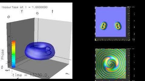 Double vortex ring dissipative soliton with three unclosed vortex lines