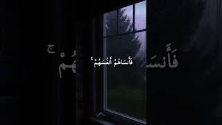 ولا تكونوا كالذين نسوا الله ... #المنشاوي