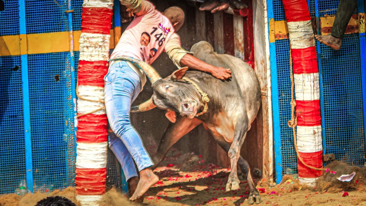 Kallakudi Jallikattu 2026 Videos 05 | கல்லக்குடி ஜல்லிக்கட்டு 2026 Videos 05