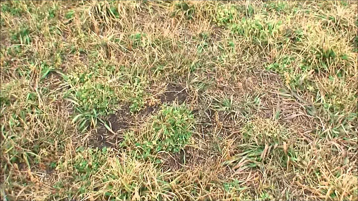 IQSY Tomahawk F23 7FJ First Flight