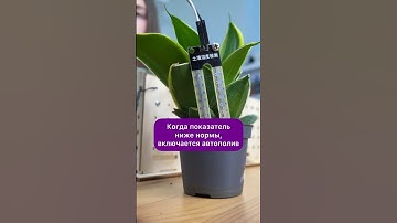 Умный полив растений