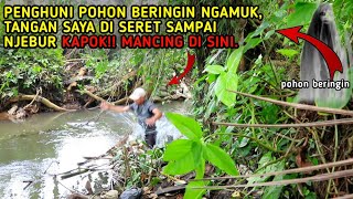 MANCING DI GANGGU MAHLUK HALUS DI BAWAH POHON BERINGIN