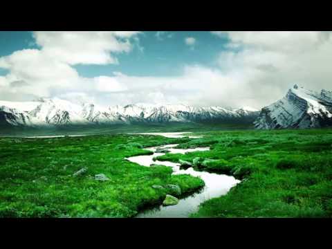 سورة الرحمن بصوت القارئ ماجد الزامل 