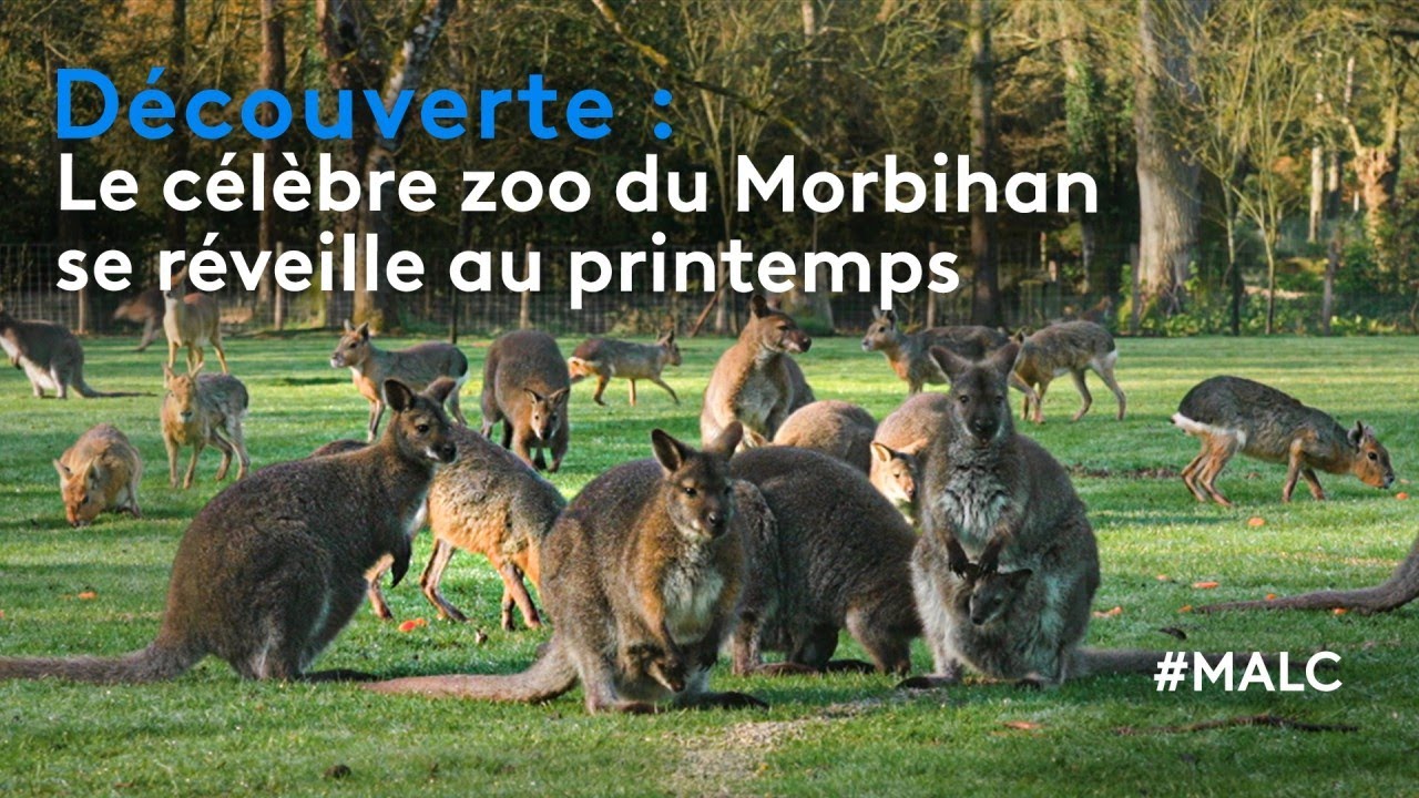 Découverte : le parc de Branféré se réveille au printemps !