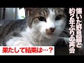 懐いた野良猫と約2年ぶりに会った結果…