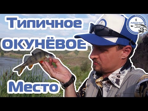 Типичное окунёвое место. Ультралайт на реке Ик.