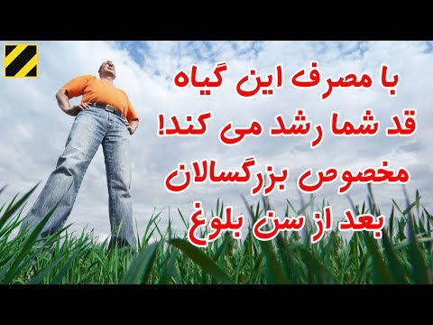 تصویری: چه باکتری هایی در سیب زمینی رشد می کنند؟