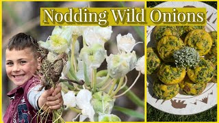 We found NODDING WILD ONIONS!!We identify, gather and cook some nice egg muffins with wild onions.