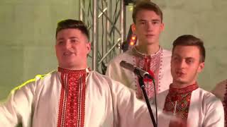 картинка: 