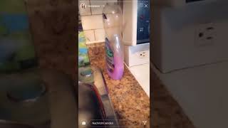 طريقه كشتن درست مورچه با ندا ياسي Neda Yasee.