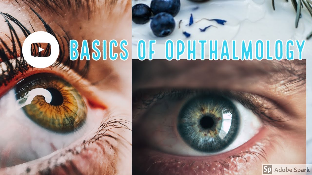 basics of ophthalmology YouTube