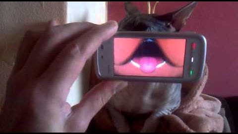 MouthPot, turn your phone into a virtual mouth, for Nokia Symbian, Maemo, Meego