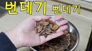 번데기 손질부터 뻔데기탕 만들기 맛있는 먹방