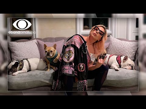 Vídeo: Os cachorros da Lady Gaga foram encontrados?