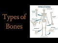 Types / Classification of Bones