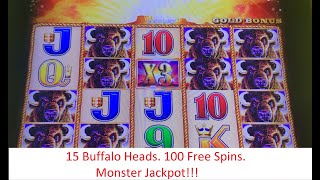 15 Buffalo Heads, 100 Free Spins, Monster Jackpot!!!