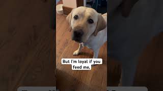 My Nellie Is Not Boring Shes To Cute