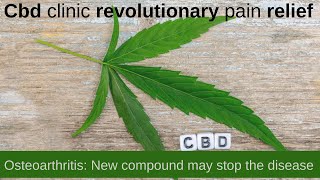 Cbd clinic revolutionary pain relief | Osteoarthritis: New compound may stop the disease