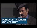 Molecules , neurons and morality. Lecture by Prof. V.S. Ramachandran