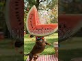 Part5 | Cute Animals and fruits fusion #shortsviral #animals #hybrid