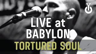 Tortured Soul - Enjoy It Now I Babylon Performance