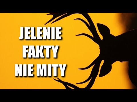 Wideo: Mity I Legendy O Jeleniach