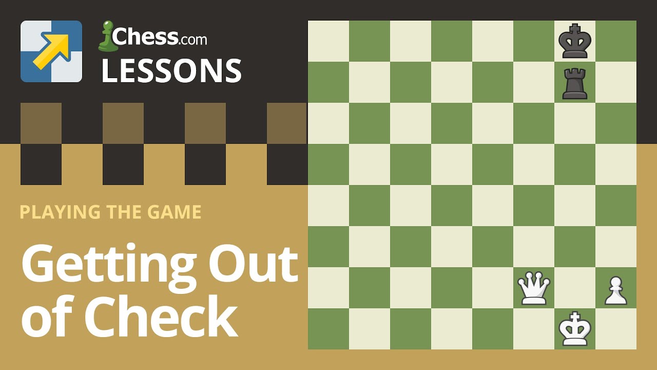How to Play Chess: Learn the Rules & 7 Steps To Get You Started 