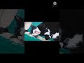 How to upload a on youtube popular multimedia youtube channel cute cats funny